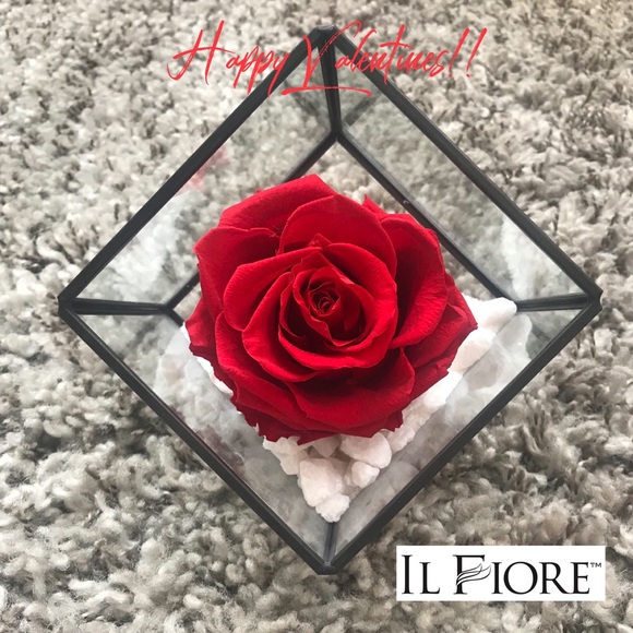 ilfiore1